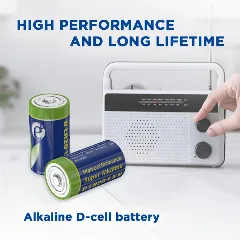 Gembird Alkaline D-cell battery, 2-pack
