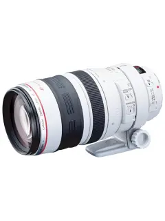 Canon EF 100-400 mm L IS II USM