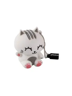 USB stick iTotal 32GB Cat sortirano 16/1 CM3424