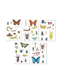 Naljepnice uklonjive Apli insects 5L 19429