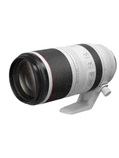 Canon RF 100-500 mm L IS USM