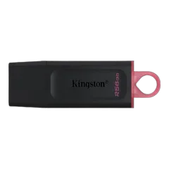 Kingston 256 GB 3.2 Gen 1 USB Flash Drive, DataTraveler Exodia