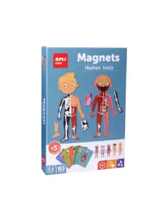 Društvena igra Apli magnets ljudsko tijelo 18531