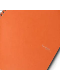 Bilježnica Fabriano Ecoqua original A4 90g 70L spiralna kocke arancio 19290113