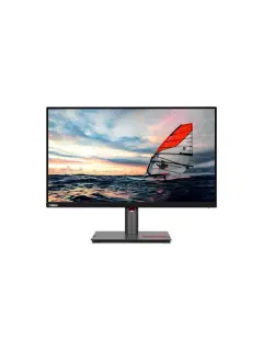 Lenovo P25i-30 FHD IPS, HDMI, DP, VGA, pivot