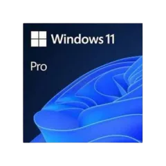 MS Windows 11 Pro ENG