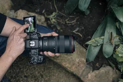 Canon RF 100mm F/2.8 L IS USM Macro