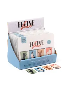 Set magnetskih označivača za stranice Puckator Feline Fine Cats (knjižne oznake) 24/1 BOOK18