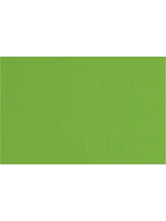 Papir Fabriano LR 70x100 verde 220g 46470111/91896758/ B1 hamer
