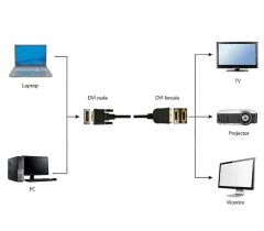 Gembird Passive DVI-D male to dual DVI female splitter cable, 0.3m