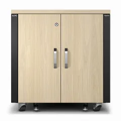 APC NetShelter Soundproof, 12U, Server Rack Enclosure, Maple