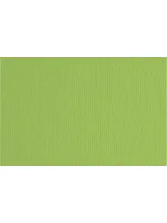 Papir Fabriano LR 50x70 verde pisello 220g 42450710/ B2 hamer