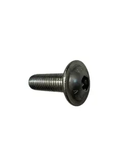 Truss head hex screw A2 M10x30, 100 kom