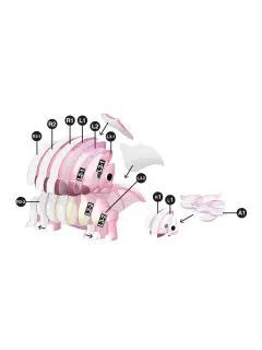 Puzzle 3D Apli Dinos Pterosauria 20040