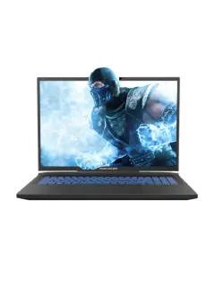 Dream Machines RX4090-17EU31/ i9-14900HX/32GB/1TB M.2 SSD/17.0" WQXGA (2560x1600) WVA/sRGB 100% 240