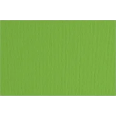 Papir Fabriano LR 50x70 verde 220g 42450711/ B2 hamer