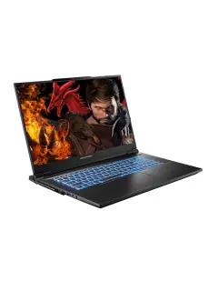Dream Machines RX4090-17EU31/ i9-14900HX/32GB/1TB M.2 SSD/17.0" WQXGA (2560x1600) WVA/sRGB 100% 240