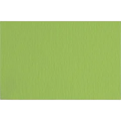 Papir Fabriano LR 70x100 verde pisello 220g 46470110/ B1 hamer