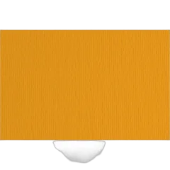 Papir Fabriano LR 70x100 aragosta 220g 46470126/ B1 hamer