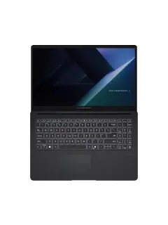 ASUS ExpertBook B1503CVA-S79249
