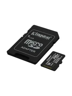 Kingston microSDXC, Select plus, Class10, 256GB