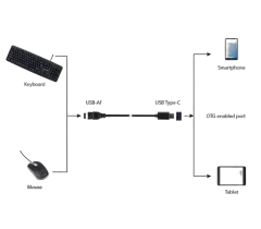 Gembird USB 3.0 OTG Type-C adapter cable (CM AF)